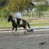 Babie Lato 2016